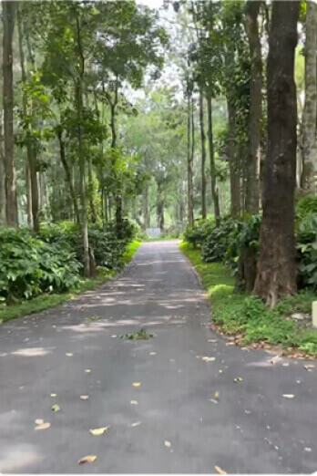 resort Rosetta by ferns